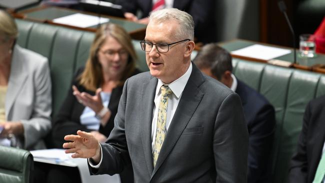 Home Affairs and Immigration Minister Tony Burke. Picture: Martin Ollman/NewsWire