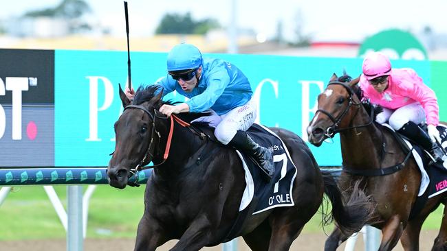 Tommy Berry steers O'Ole to victory in the Magic Millions 2YO Picture: Grant Peters