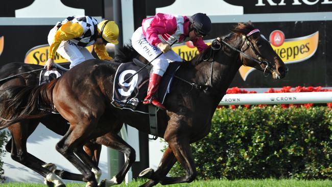 16.4.2016 Ascot Races. race 7 no. 9 Arcadia Dream ridden by William Pike wins the W.A.T.C. Derby. .