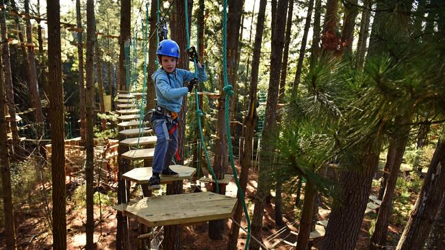 Experience Co is looking for acquisitions, amid strong demand for skydiving, treetop and zipline aerial adventures. Picture: Supplied