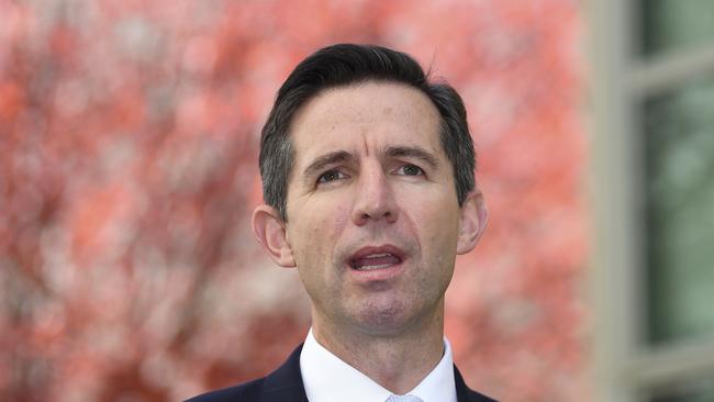 Trade Minister Simon Birmingham says the iron ore Customs changes were a ‘positive example’ of President Xi Jinping’s pledge to further open up markets. Picture: AAP