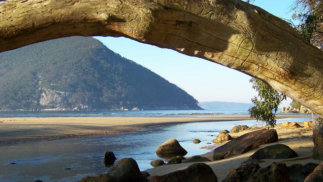 Picture: Phil Skeggs Sealers Cove, Wilsons Promontory. Sealers Cove At Low Tide