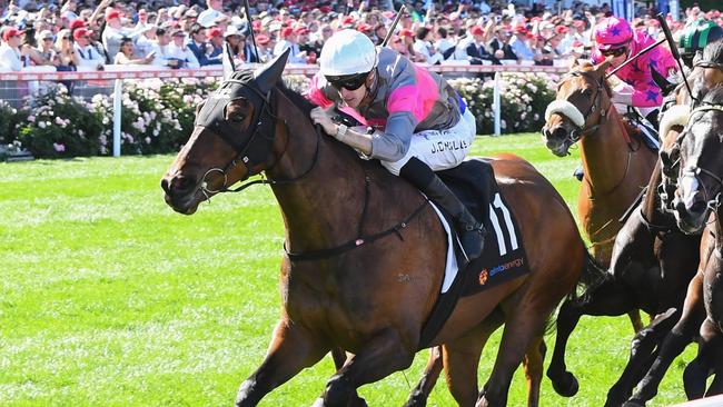 Plenty Of Ammo ridden by Jordan Childs wins the Alinta Energy Crystal Mile at Moonee Valley Racecourse on October 26, 2024 in Moonee Ponds, Australia. (Photo by Brett Holburt/Racing Photos via Getty Images)