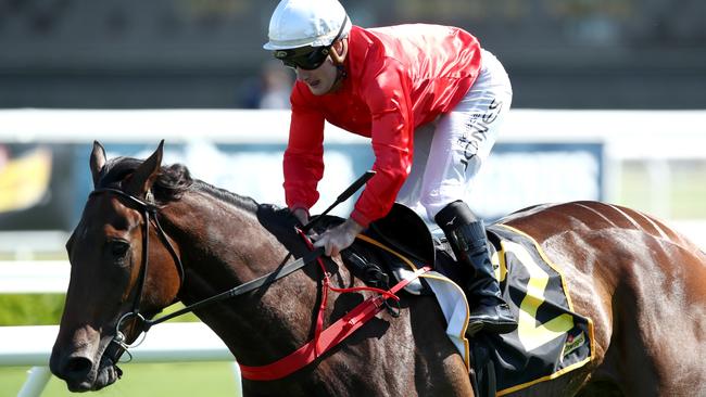 Jojo Was A Man returned to winning form with victory at Randwick last Saturday. Picture: Getty Images