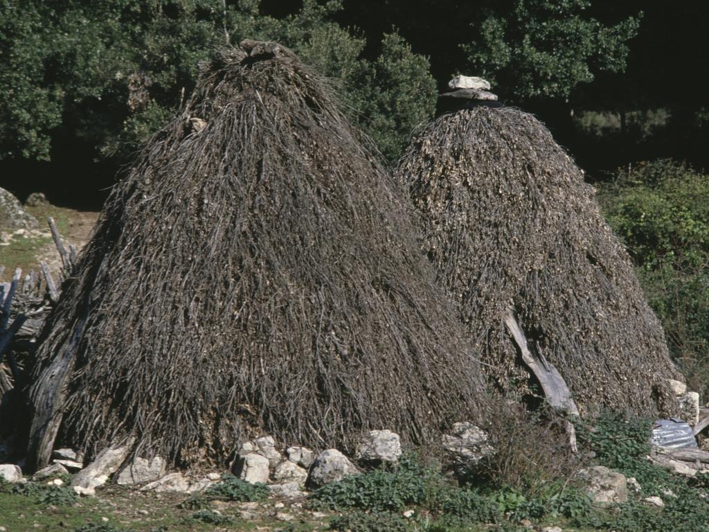 The unique natural environment in Supramonte, Barbagia Ollolai, Sardinia.