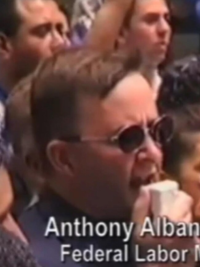 Anthony Albanese at pro-Palestine rally. Picture: Sky News