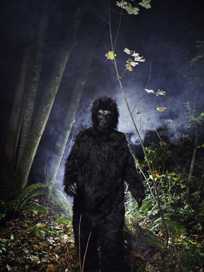 So did the video really capture Bigfoot?