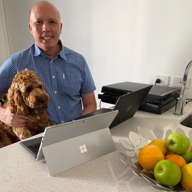 Home Affairs Minister Peter Dutton at home with dog Ralph yesterday