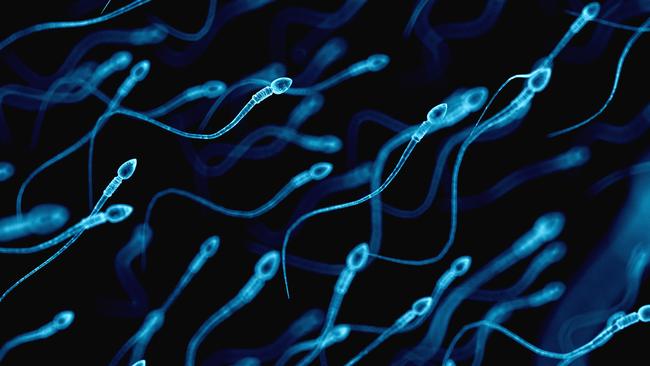 Human sperm, illustration.. Picture: Getty Images.