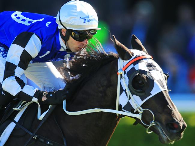 SYDNEY, AUSTRALIA - AUGUST 24: Brenton Avdulla on Our Candidate wins Race 4 the Gold Coast Turf Club Trophy during Sydney Racing at Royal Randwick Racecourse on August 24, 2019 in Sydney, Australia. (Photo by Jenny Evans/Getty Images)