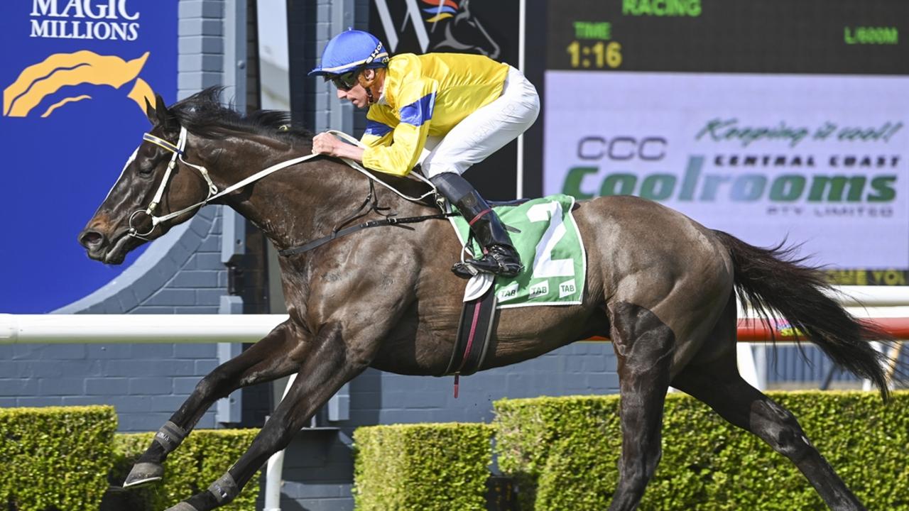 Peace Officer can make it back-to-back for the campaign at Rosehill. Picture: Bradley Photos