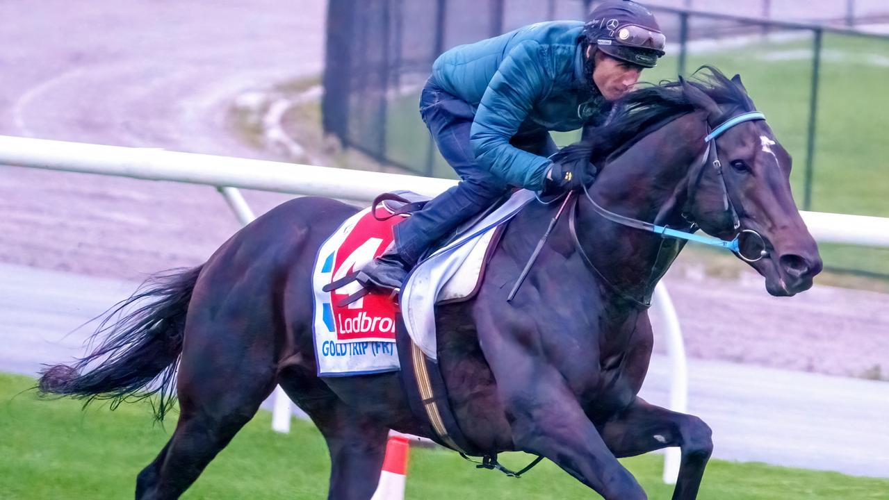 Moonee Valley trackwork