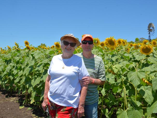 Lilyvale Flower Farm's impressive sunflower crop saw dozens flock to the sunny fields, including Judy and Tony on Sunday, December 22, 2024. Photo: Jessica Klein