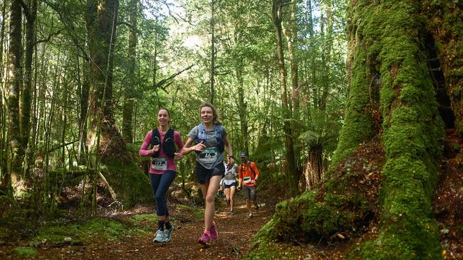 Takayna Trail Ultra Marathon through the Tarkine. Picture: Karen Keefe/Bob Brown Foundation