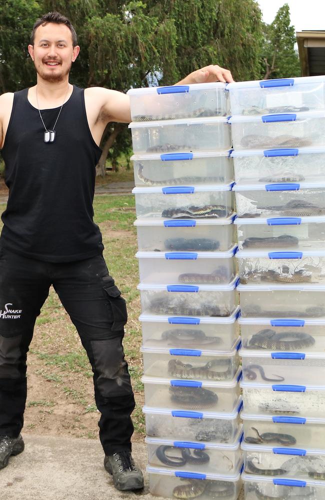 Mark Pelley with the 26 snakes he captured over four days this week. Picture: Supplied