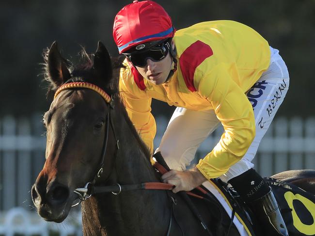 Tommy Berry riding Mizzy returns to scale after winning the Sheraco Stakes.