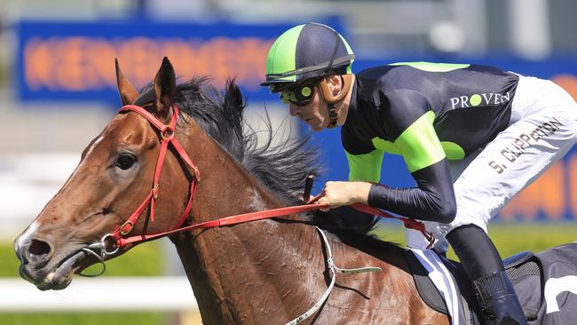 Sam Clipperton and Stockman combined to win the St Leger at Randwick. Picture: Mark Evans–Getty Images