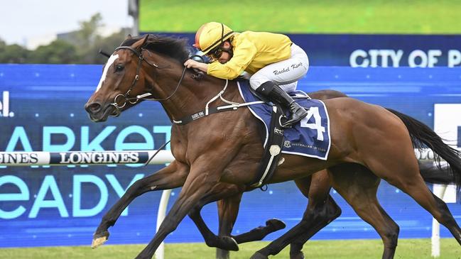 Hopeful can cause an upset in the January Cup on a soft track at Rosehill. Picture: Bradley Photos