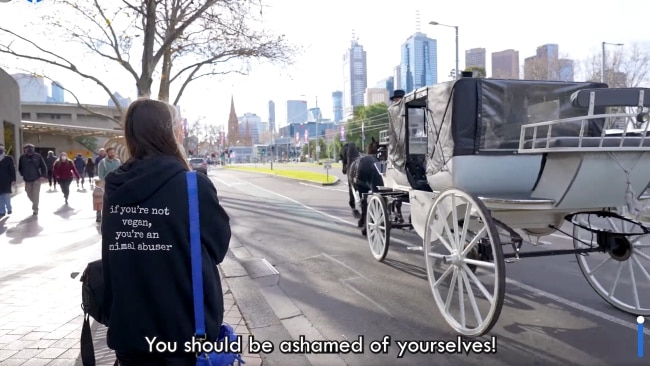The vegan activist decided to hurl abuse at the horse and carriage driver. Picture: Facebook / Tash Peterson