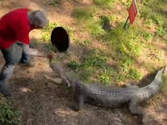 A pub owner in the Northern Territory has instantly been written into Australian folklore after a video of him beating a crocodile with a frying pan blew up on social media.