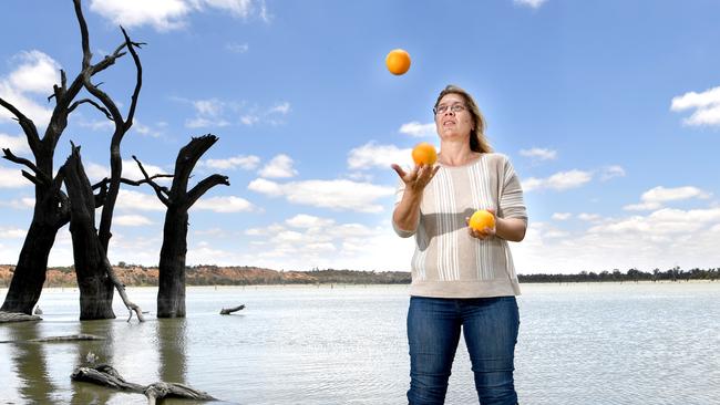 Riverland irrigator Caren Martin pictured at Waikerie. Picture: Tricia Watkinson