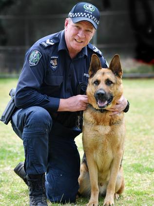 Police dog Ink, who was injured in an ATM robbery, retires after four ...