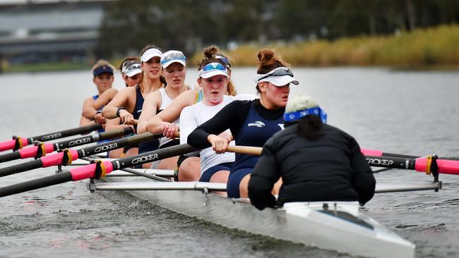 Victorian Junior Women's eight. Picture: Nigel Hallett