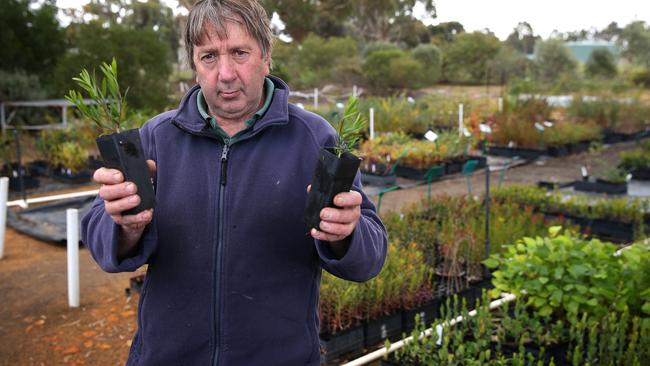 News: Western Victoria Weather. BOM has released data showing that parts of Western Vic has had its driest year since 2005. Pictured is nurseryman Vern Hallam, from Wimmera Native Nursery PICTURE: ANDY ROGERS