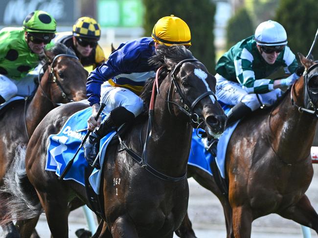 MELBOURNE, AUSTRALIA - AUGUST 10: Beau Mertens riding Blue Stratum winning Race 2, the Dominant Handicap - Betting Odds during Melbourne Racing at Moonee Valley Racecourse on August 10, 2024 in Melbourne, Australia. (Photo by Vince Caligiuri/Getty Images)