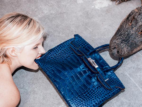 Actress snapped feeding $100,000 bag to croc