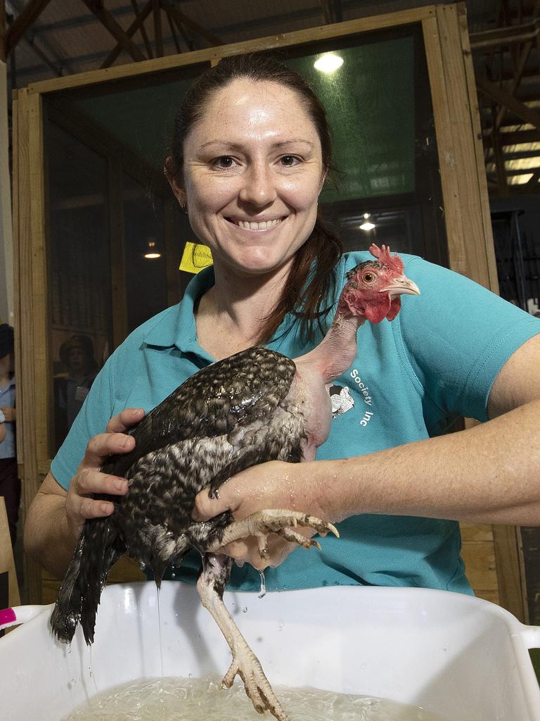 Lyndsey Sumpton bird washing at the Hobart Show. PICTURE CHRIS KIDD