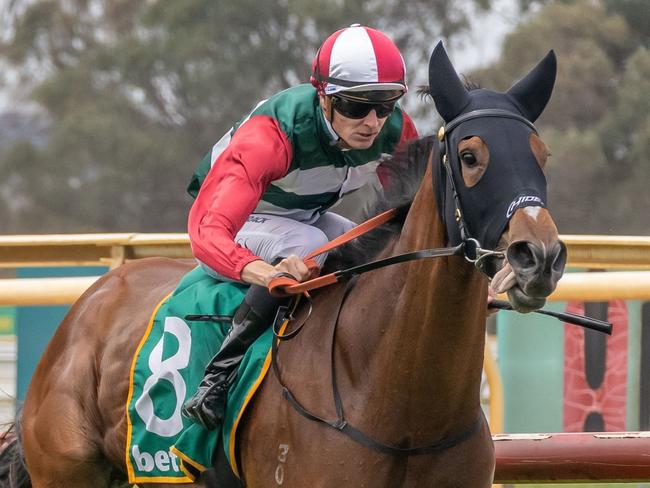 Artful Lodger ridden by Koby Jennings wins the Celebrations Benalla Maiden Plate at Benalla Racecourse on December 14, 2024 in Benalla, Australia. (Photo by Jay Town/Racing Photos via Getty Images)