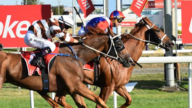 The strict safety protocols will limit patronage and recovery, according to trainers.