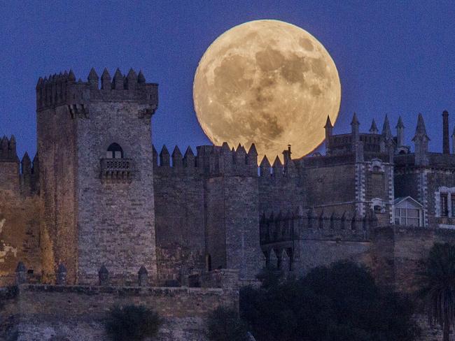 The moon rises behind the castle of Almodovar in Cordoba, southern Spain, on Sunday, Nov. 13, 2016. The Supermoon on November 14, 2016, will be the closest a full moon has been to Earth since January 26, 1948. Picutre: AP Photo/Miguel Morenatti