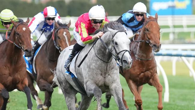 Exciting grey Kingswood can continue on his winning ways in Saturday’s Group 3 JRA Cup at The Valley. Picture: Racing Photos via Getty Images