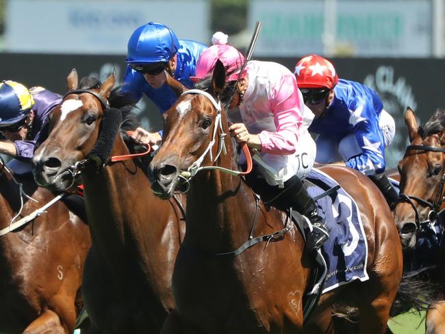 SYDNEY, AUSTRALIA - FEBRUARY 25: Tim Clark riding Hope In Your Heart  Race 5 Guy Walter Proven Thoroughbred Stakes during TAB Chipping Norton Stakes Day - Sydney Racing at Royal Randwick Racecourse on February 25, 2023 in Sydney, Australia. (Photo by Jeremy Ng/Getty Images)