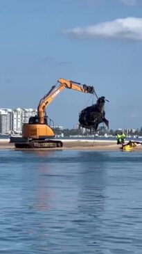 Helicopter removed from the Gold Coast Broadwater after fatal mid-air collision