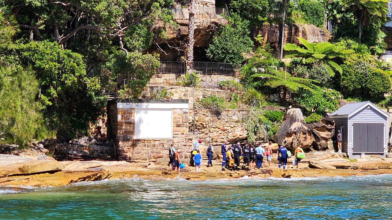 Marine Area Command conducted extensive searches of the area but were unable to locate the shark. Photo: Facebook/NSW Marine Area Command.