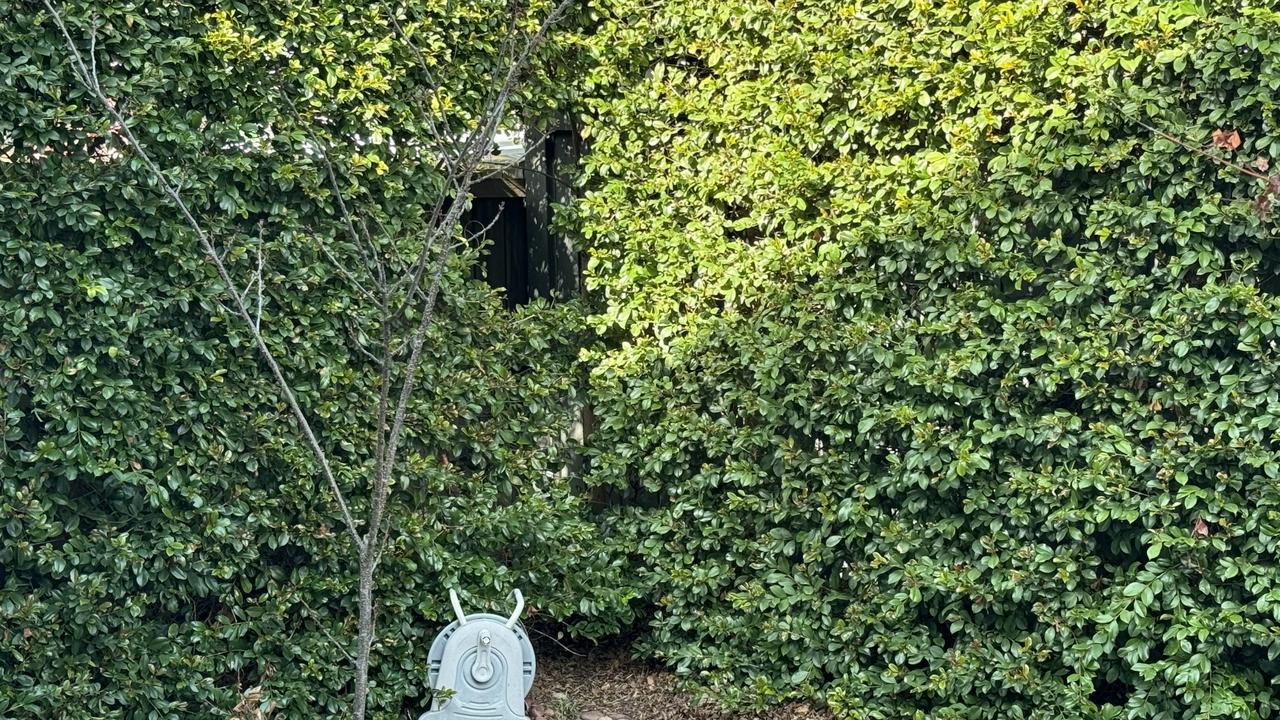 WTF: A South Geelong man was upset after Barwon Water put a hole in his hedge.