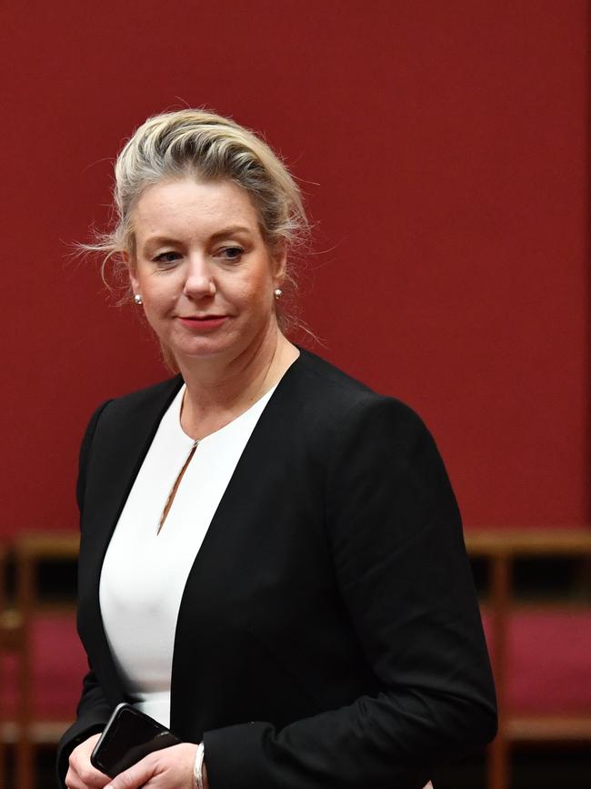 Senator Bridget McKenzie. Picture: Getty Images