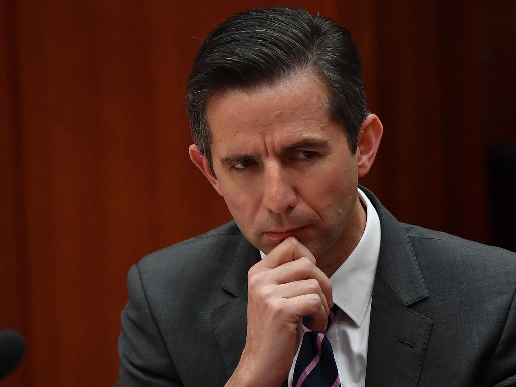 Labor’s side of the Senate erupted as insults were hurled at Simon Birmingham. Picture: Sam Mooy/Getty Images