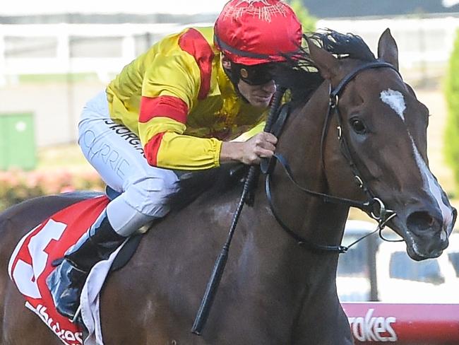 Grand Scholar ridden by Luke Currie wins the Opus Group Handicap at Moonee Valley Racecourse on December 06, 2019 in Moonee Ponds, Australia. (Brett Holburt/Racing Photos via Getty Images)