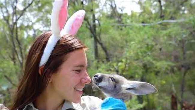 Cute Aussie Animals Enjoy Easter Treats