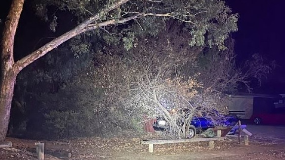 A drunk L-plate driver crashed into trees and a corrugated fence at Burton overnight. Picture: SA Police