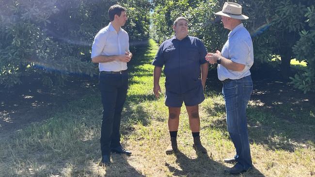 Resources Minister Scott Stewart and Bundaberg Labor MP Tom Smith in 2022 speak to "relieved" local macadamia grower, Geoff Chivers after rejecting the first Fox Resources coal mine licence application in Bundaberg.