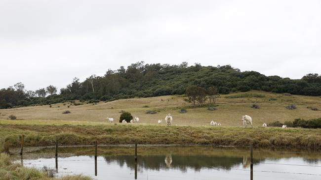 Land owned by the O'Grady family in Cobbitty where 800 homes will be built. Picture: Jonathan Ng