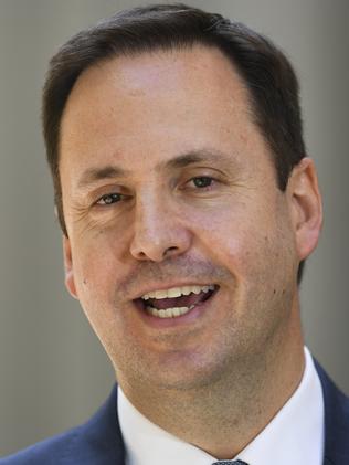 Australian Trade Minister Steve Ciobo.