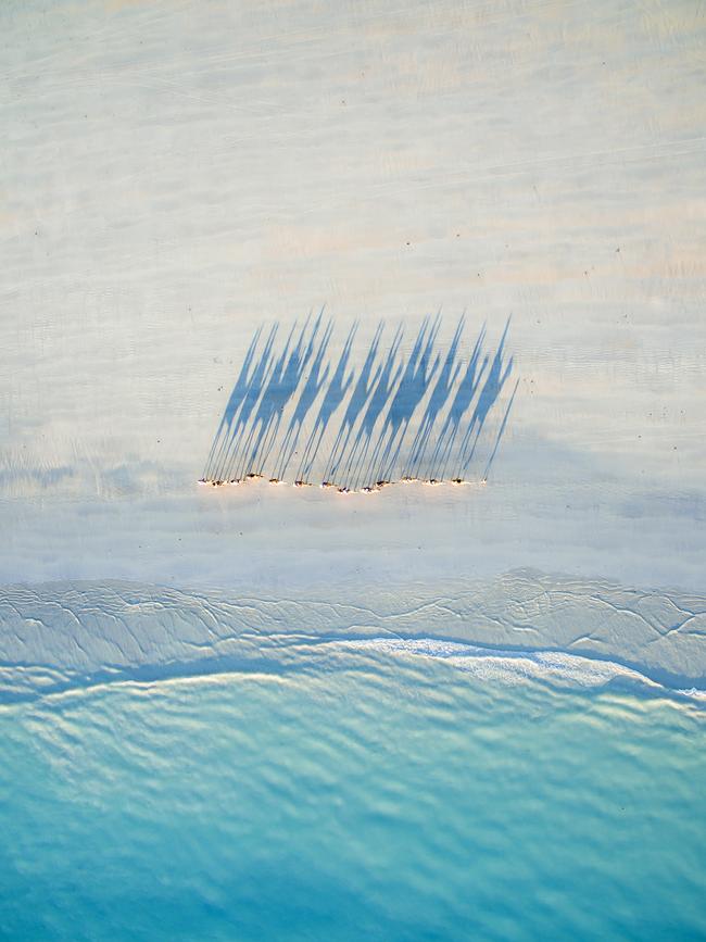 Travel winner: Todd Kennedy ... Todd Kennedy’s winning portfolio illustrates just how powerful the combination of a drone and stunning locations can be. Since picking up a drone in 2014, Kennedy has spent hours researching and travelling around Australia to create his images. This image of camels was taken at Cable Beach, Broome, WA. Picture: Todd Kennedy/Australian Photography magazine