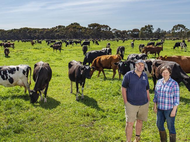 FARM: Bethune Lane dairyPaul & Sally Bethune run Bethune Lane Dairy, a large dairy that is now value adding its milk into a range of products including cheeses, milk and yoghurt.Pictured: Paul and Sally Bethune on farm at Lake Boga.PHOTOGRAPHER: ZOE PHILLIPS