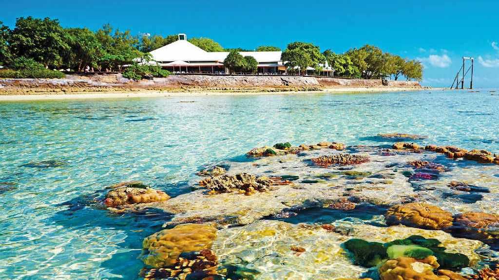 Reef off Heron Island - Courtesy of GAPDL. Picture: Paul Giggle